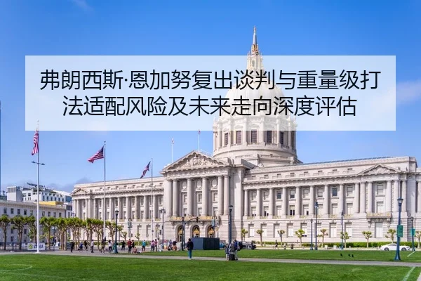 弗朗西斯·恩加努复出谈判与重量级打法适配风险及未来走向深度评估